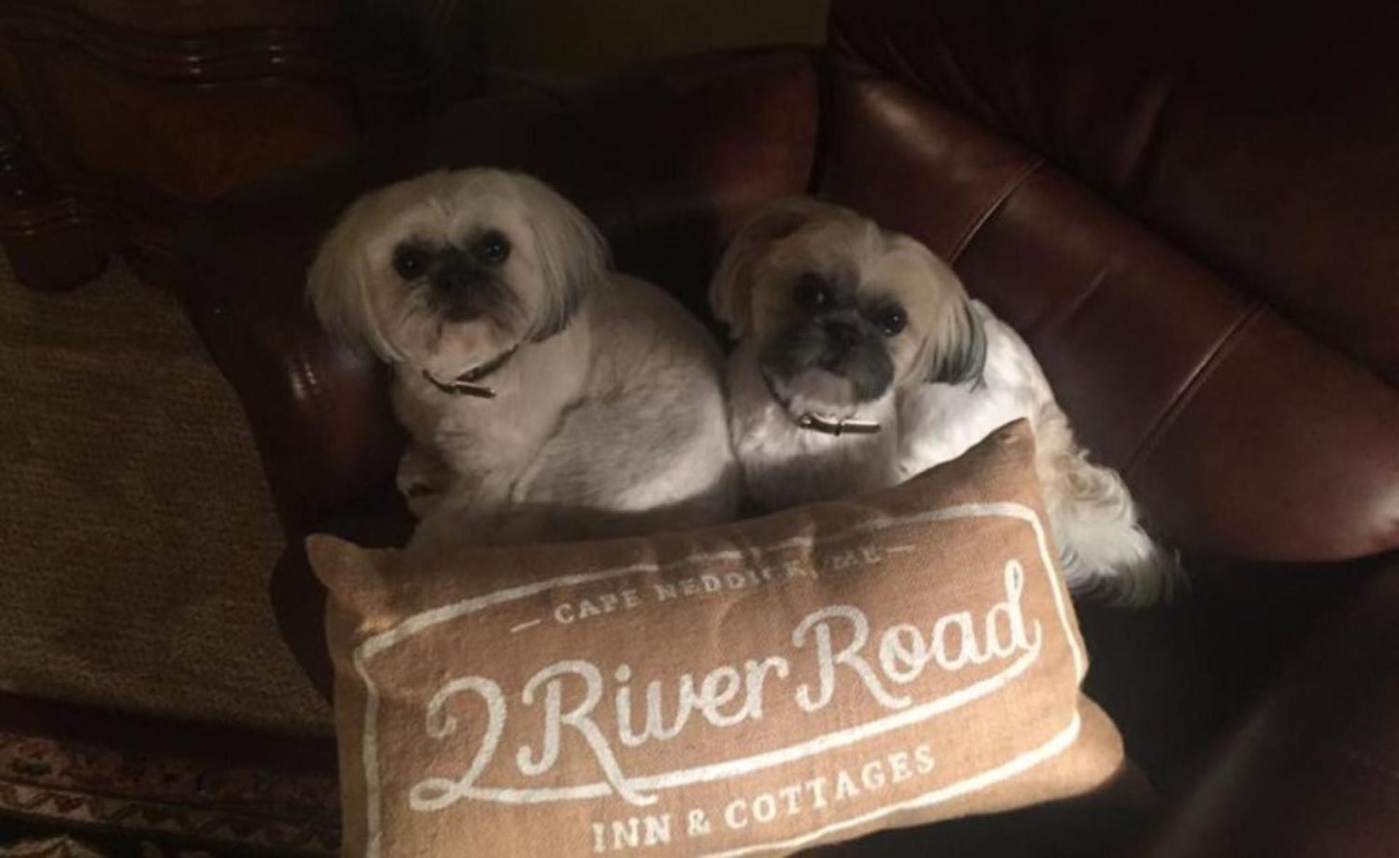 2 River Road Inn Cottages Cape Neddick Luaran gambar